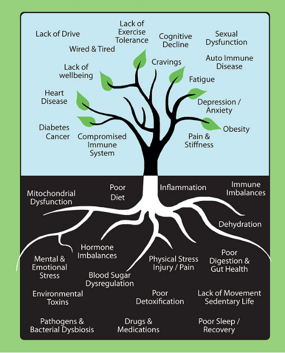 Functional Medicine Training preview